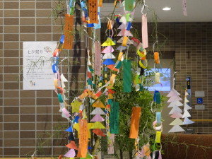 DSC00308