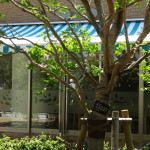 DSC00363