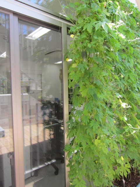 写真5